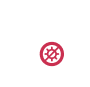 Feature Icon