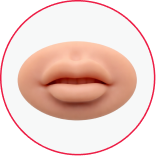 3D Lips Practice Model 